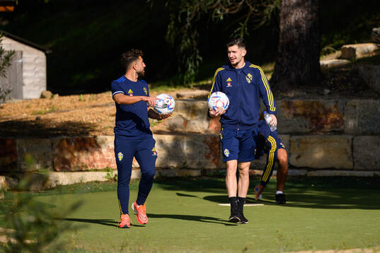Moustafa Zeidan and Armin Gigovic of the Swedish men's