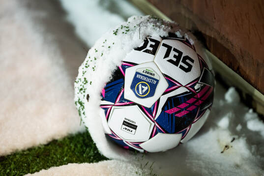 En boll med snö och konstgräsgranulat