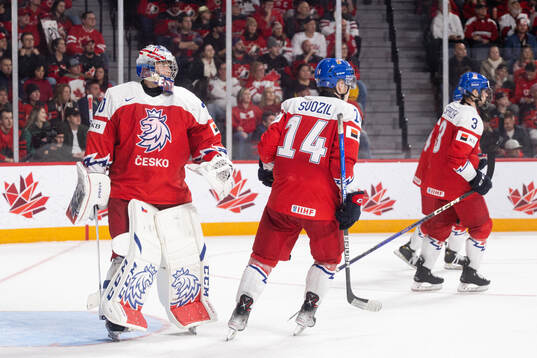 Goaltender Tomas Suchanek, Stanislav Svoziland David Spacek