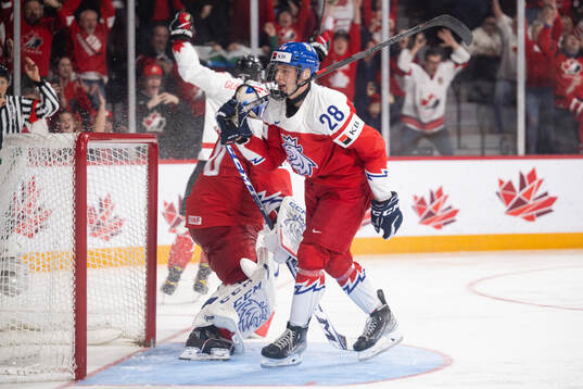 Eduard Sale of Czech Republic looks dejected