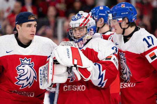 Goaltender Tomas Suchanek of Czech Republic looks dejected