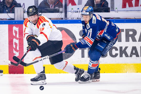 Brynäs Johan Larsson och Växjös Kalle Kossila