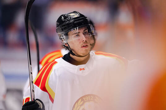 Brynäs Samuel Johannesson jublar