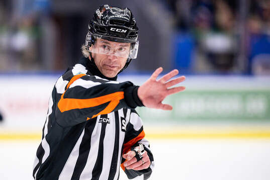 Domare Mikael Andersson
