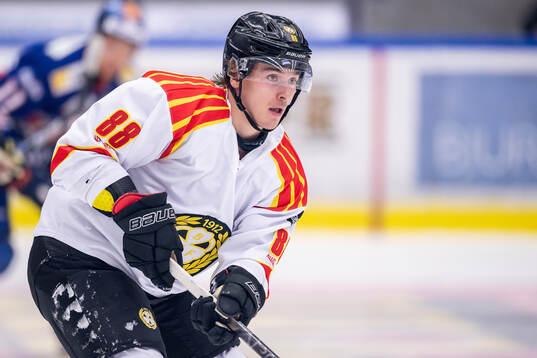 Brynäs Dmytro Timashov