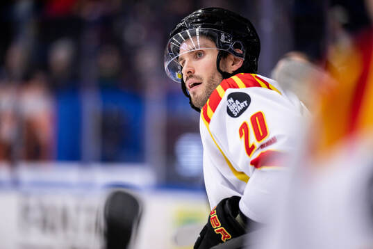 Brynäs Oula Palve