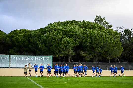 Players of the Swedish men's football national team at a
