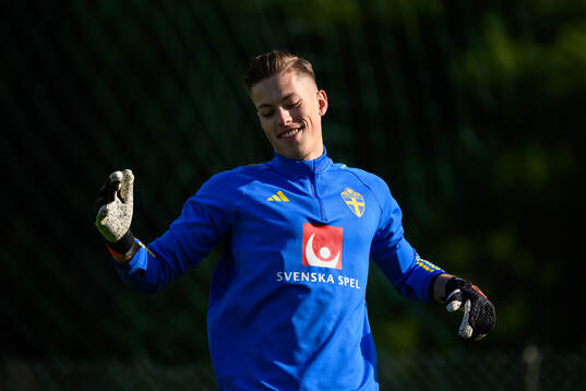 goalkeeper Leopold Wahlstedt of the Swedish men's football