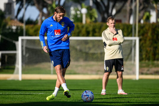 Christoffer Nyman of the Swedish men's football national
