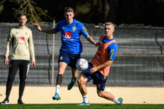 Alexander Bernhardsson and Carl Gustafsson of the Swedish
