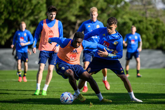 Josafat Mendes and Yasin Ayari of the Swedish men's