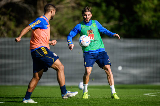Christoffer Nyman of the Swedish men's football national