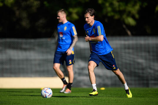 Hjalmar Ekdal of the Swedish men's football national team