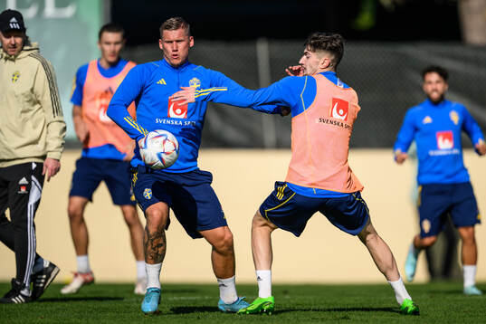 Victor Edvardsen and Armin Gigovic of the Swedish men's