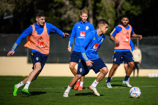 Armin Gigovic and Yasin Ayari of the Swedish men's football