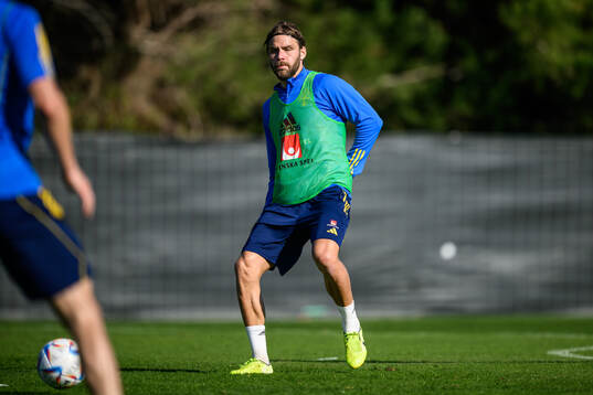 Christoffer Nyman of the Swedish men's football national