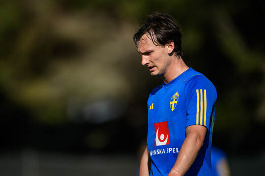 Hjalmar Ekdal of the Swedish men's football national team
