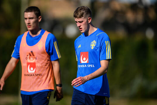Alexander Bernhardsson of the Swedish men's football