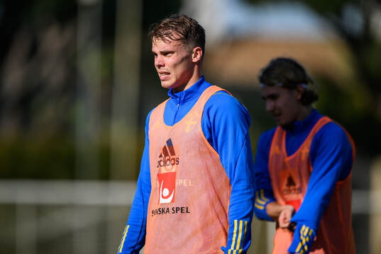 Elias Andersson of the Swedish men's football national team