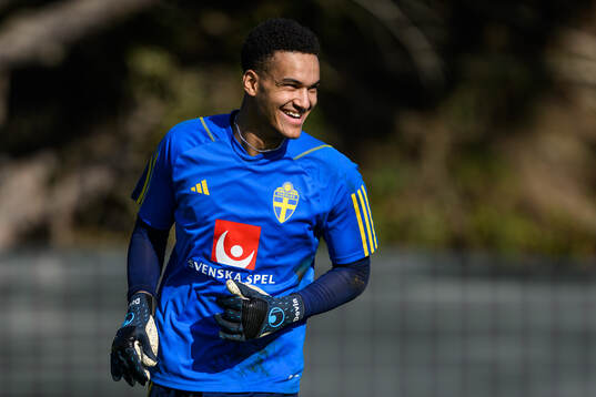 goalkeeper Oliver Dovin of the Swedish men's football