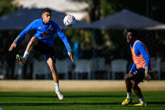 Yasin Ayari and Josafat Mendes of the Swedish men's