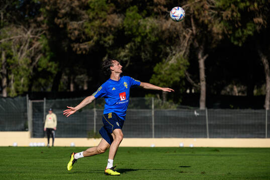 Hjalmar Ekdal of the Swedish men's football national team