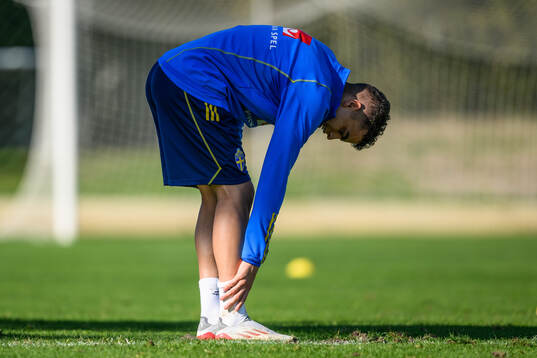 Yasin Ayari of the Swedish men's football national team at