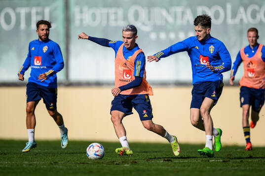 Jacob Ondrejka and Armin Gigovic of the Swedish men's