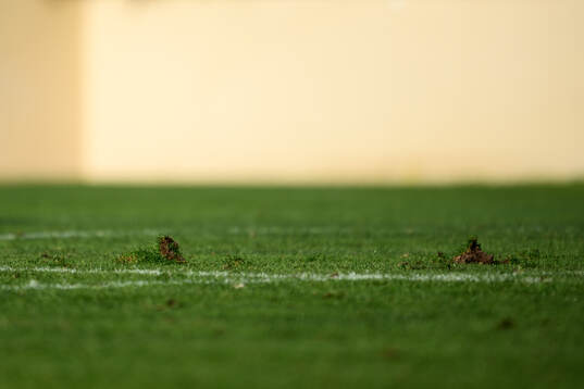 The pitch at a training session