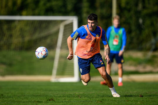 Edvin Kurtulus of the Swedish men's football national team