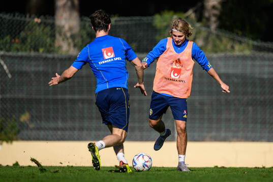 Sebastian Nanasi of the Swedish men's football national