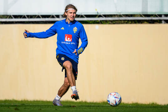 Sebastian Nanasi of the Swedish men's football national