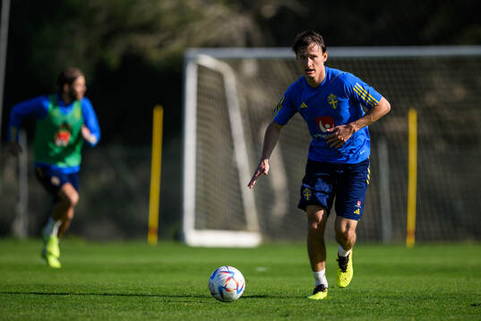 Hjalmar Ekdal of the Swedish men's football national team