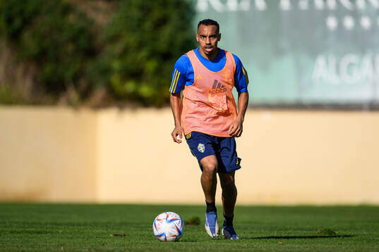 Bilal Hussein of the Swedish men's football national team
