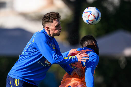 Noah Persson and Josafat Mendes of the Swedish men's