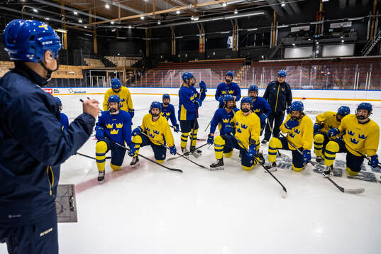 Players of Sweden at a practice session