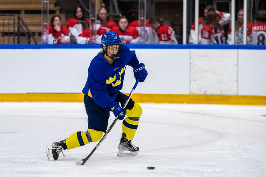 Mira Hallin of Sweden and players of Czech Republic at a
