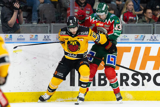 Luleås Konstantin Komarek och Frölundas Tom Nilsson