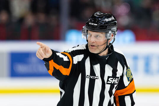 Domare Mikael Nord