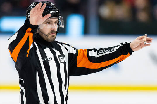 Domare Mattias Enroth