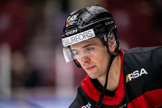 Malmö Redhawks Thomas Schemitsch