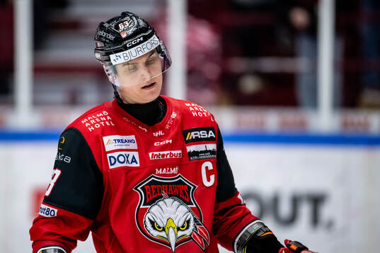 Malmö Redhawks Fredrik Händemark deppar