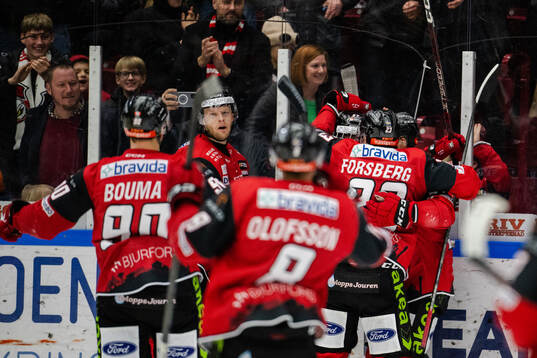 Malmö Redhawks spelare jublar