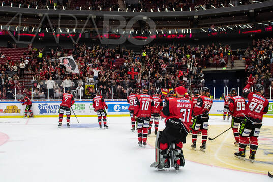 Malmö Redhawks spelare jublar