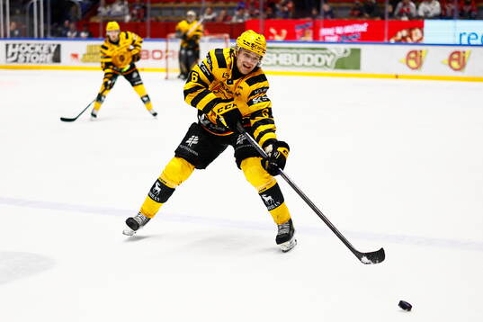 Skellefteås Måns Forsfjäll