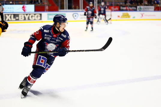 Linköpings Vilmos Gallo