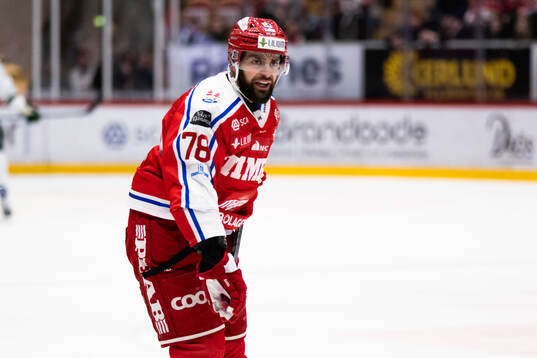 Timrås Robin Hanzl