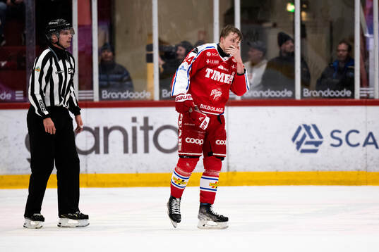 Timrås Sebastian Hartmann utvisas