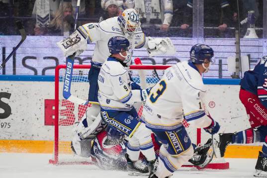 Leksands målvakt Mantas Armalis