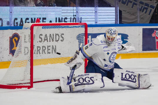 Leksands målvakt Mantas Armalis